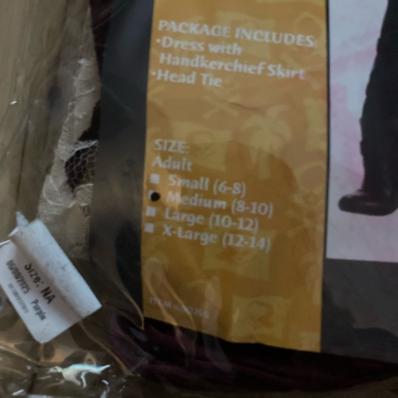 SOUTH SEAS SIREN CALIFORNIA COSTUMES DRESS WITH SKIRT & HEAD TIE ADULT MED 8-10 - Picture 3 of 3